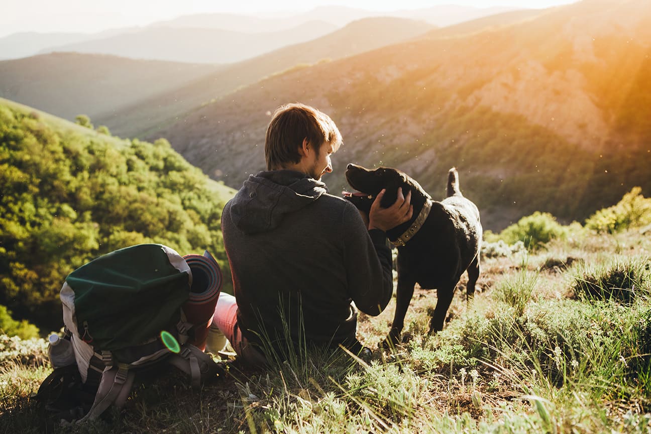 Urlaub mit Hund: Packliste, Reisetipps & die besten Aktivitäten