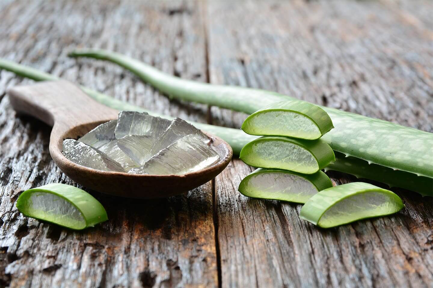 Aloe vera