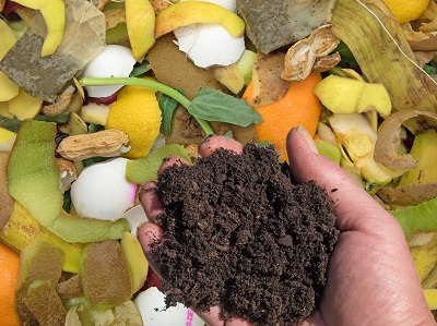 Bokashi Ferment Kompost