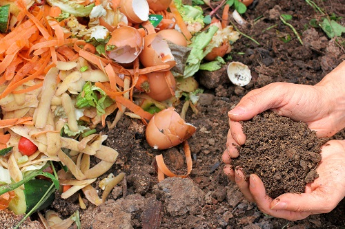 Bokashi herstellen – Alles über die Herstellung, Dosierung, Verwendung und Lagerung