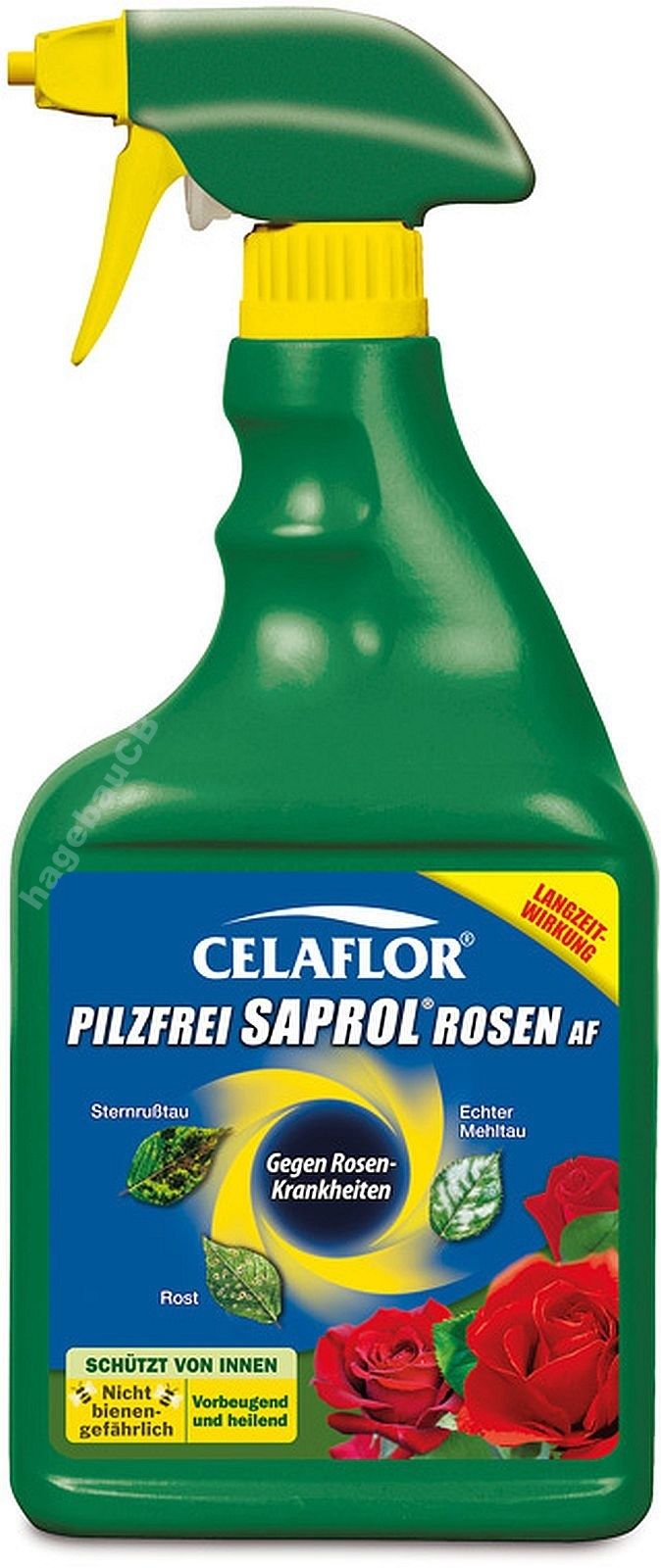 Pilzfrei SAPROL Rosen AF von Celaflor