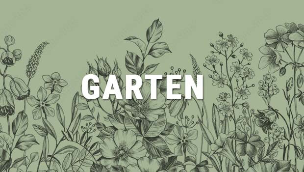 Garten Kategorie