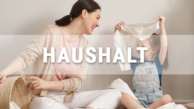 Haushalt