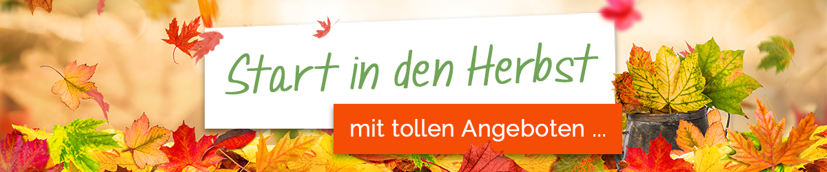 Herbst Aktion Rabatt