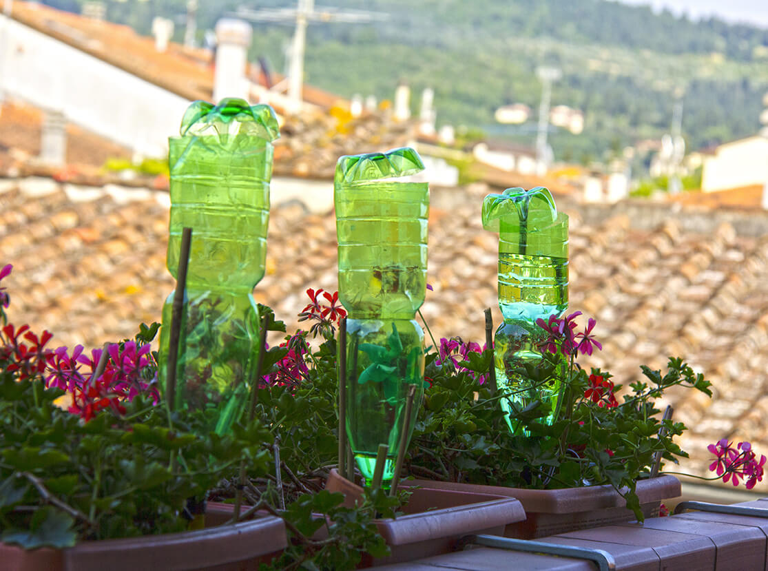 Pflanzen bewässern im Urlaub – die besten Tipps und Tricks
