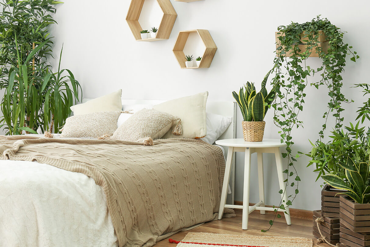 Gesunder Schlaf mit diesen Pflanzen fürs Schlafzimmer