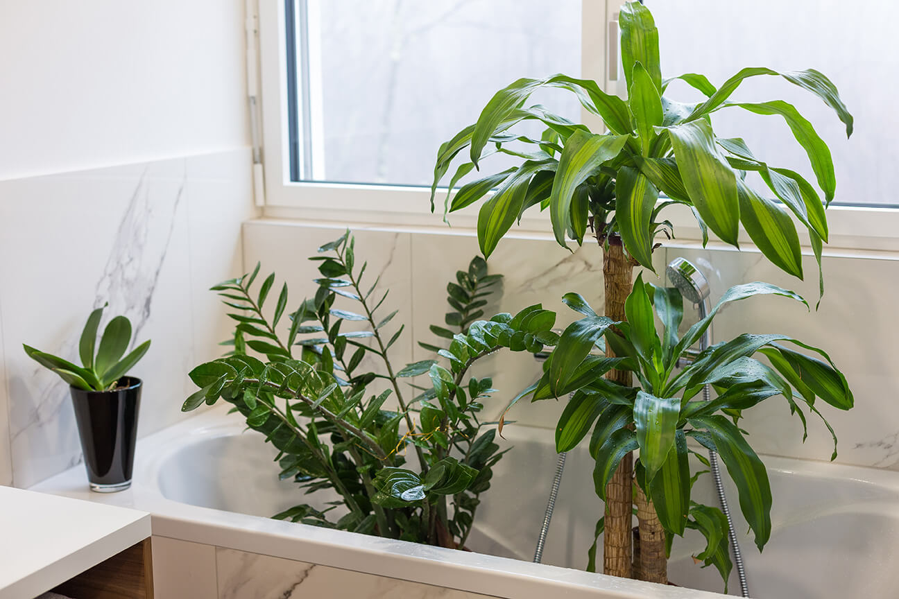 Badewanne