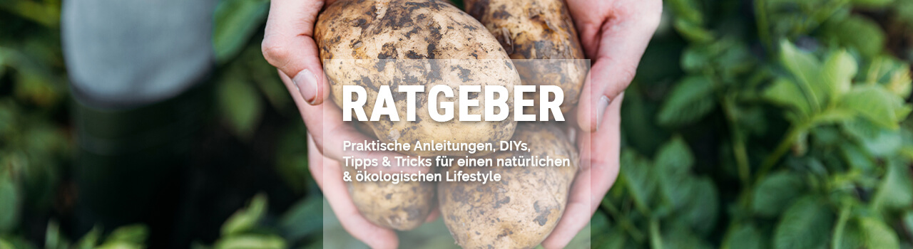 Ratgeber EM-Kaufhaus