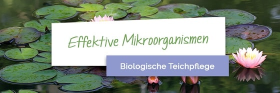 Effektive Mikroorganismen biologische Teichpflege und Algenreduzierung