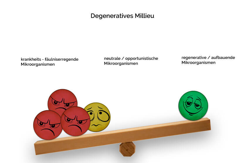 Effektive Mikroorganismen degeneratives Milieu