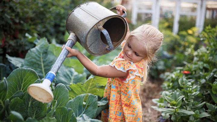 Effektive aktiv (EMa) selber herstellen Eine Anleit