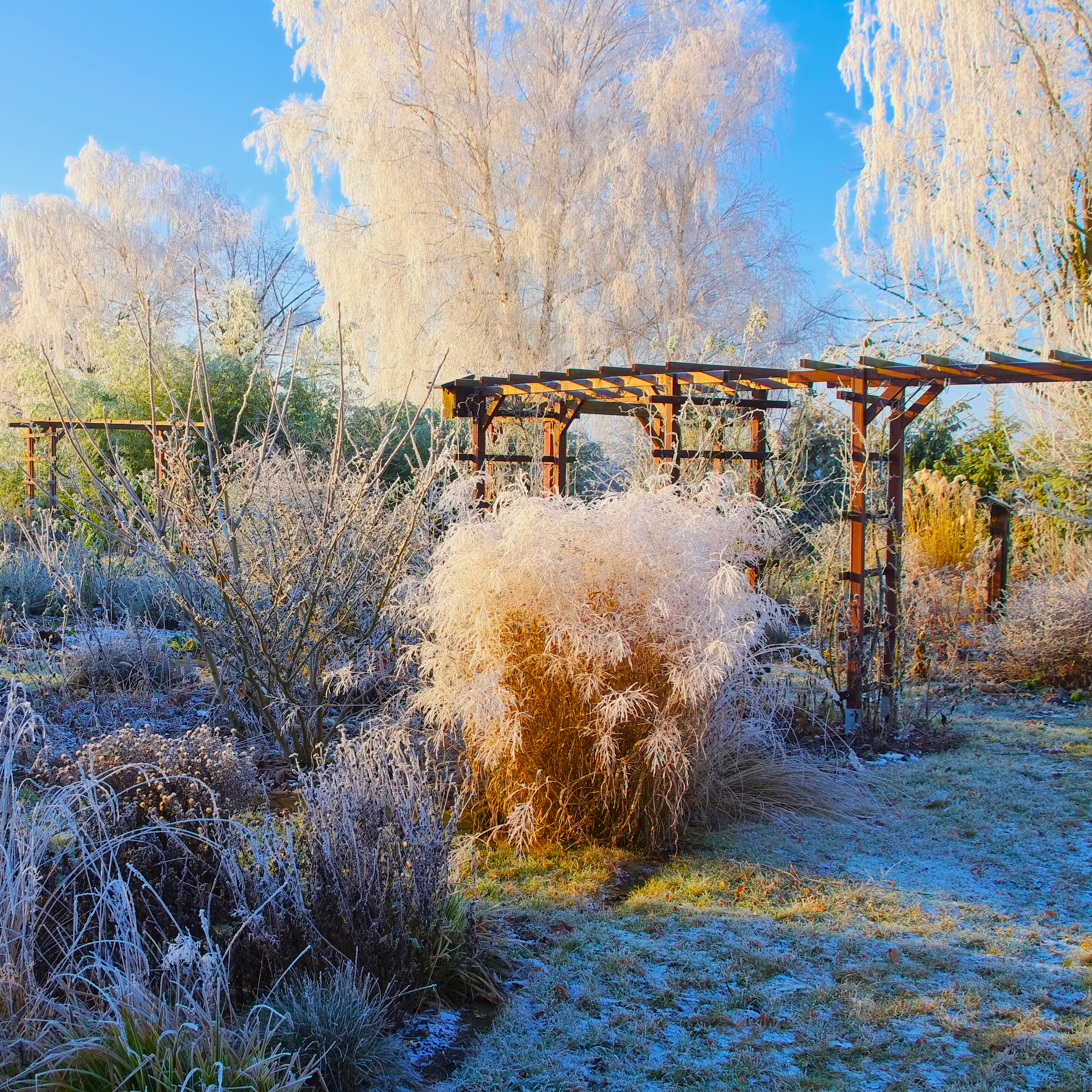 Garten im Winter