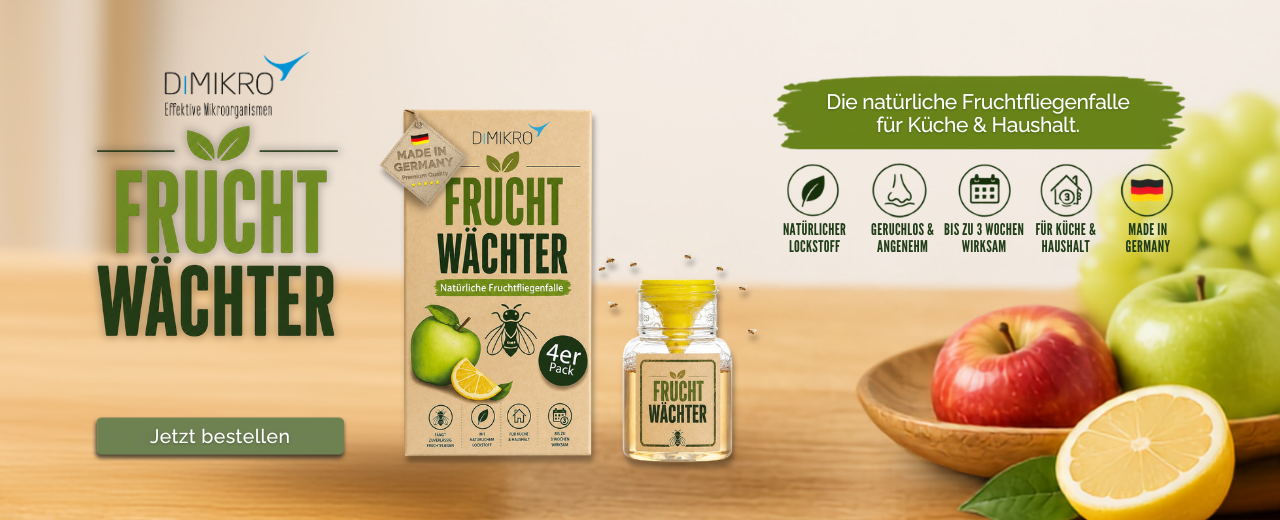 Fruchtwächter Fruchtfliegenfalle