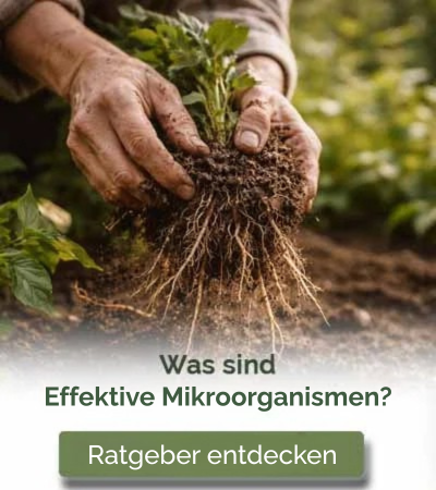 Was sind Effektive Mikroorganismen?