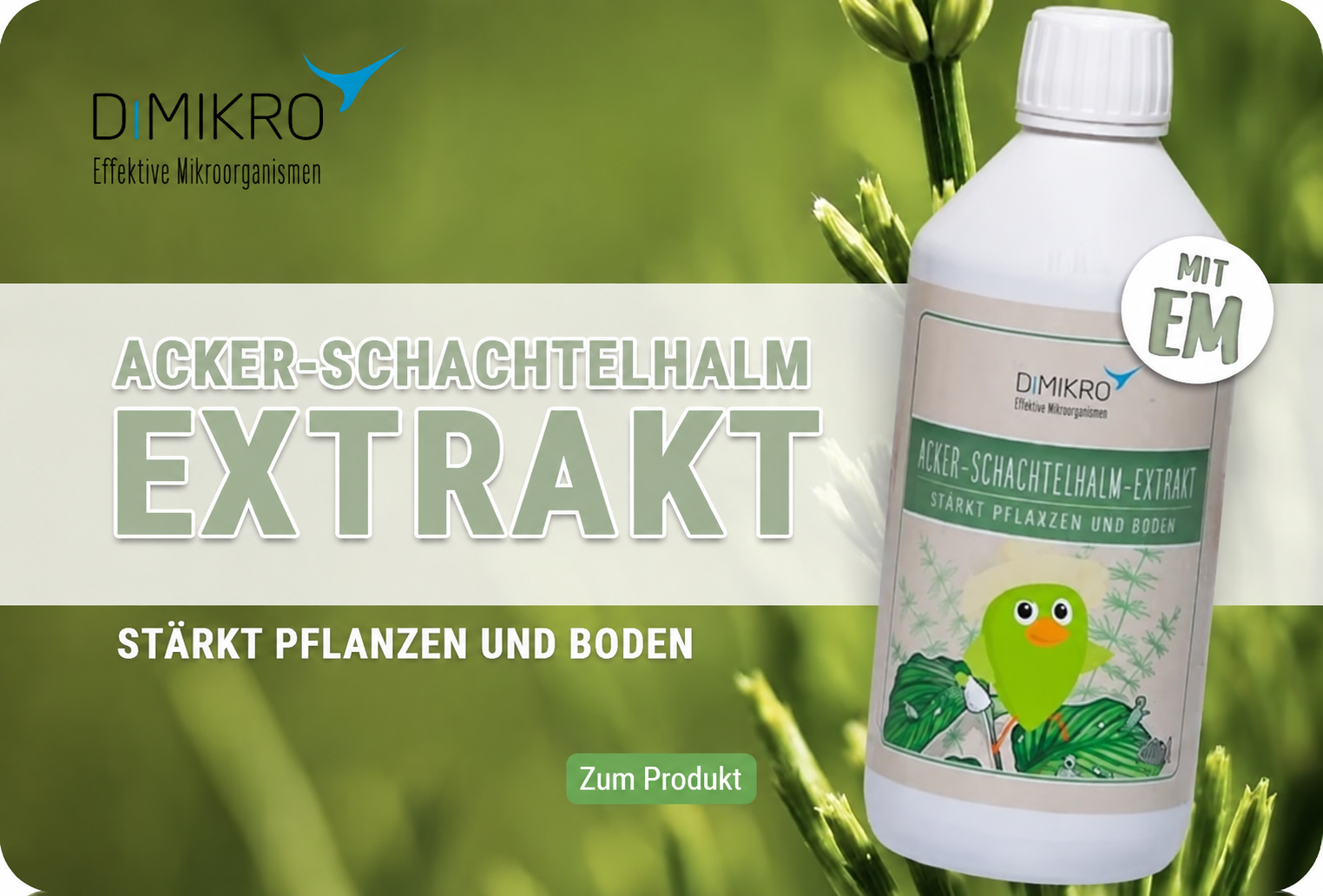 Acker-Schachtelhalm-Extrakt von Dimikro