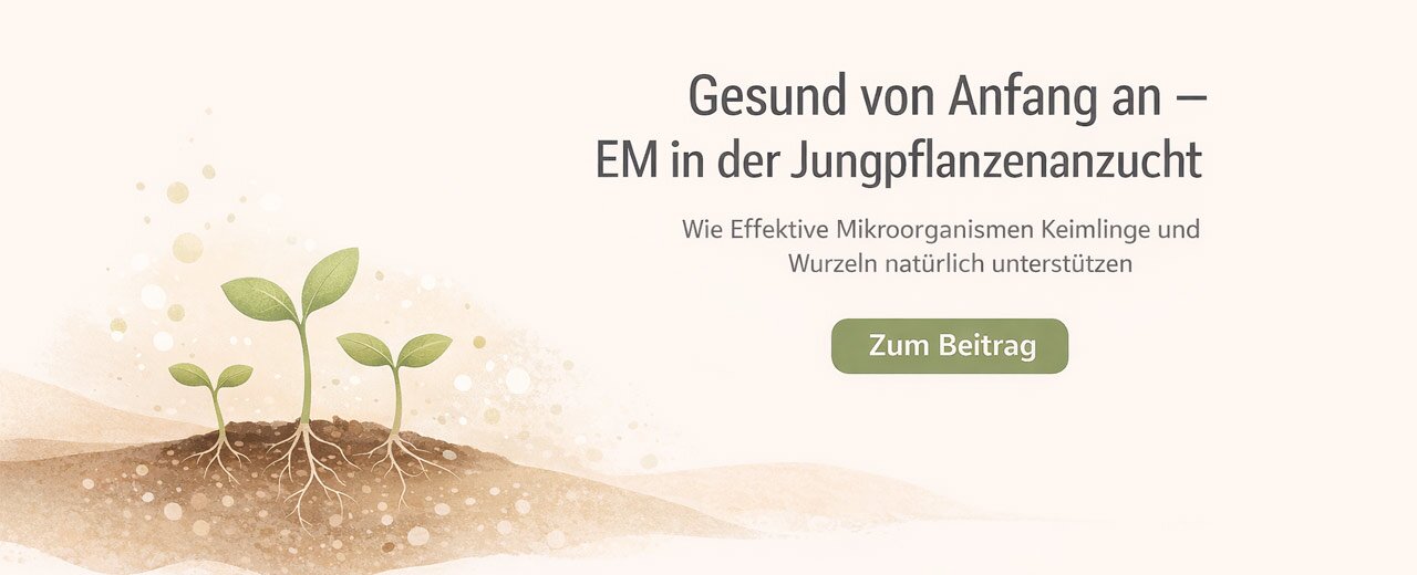 Anzucht verbessern mit Effektiven Mikroorganismen