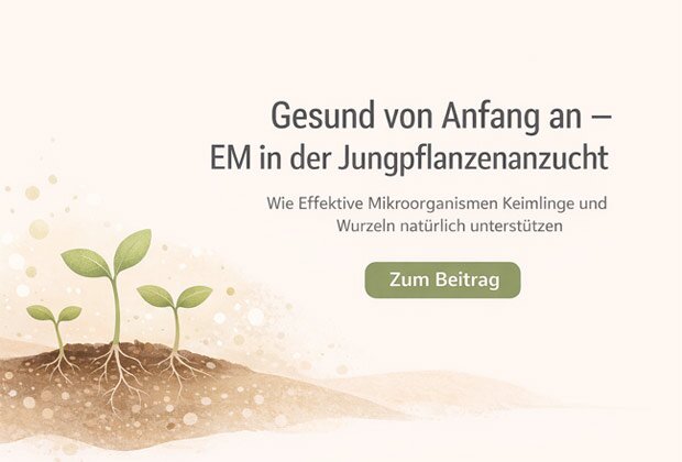 Anzucht verbessern mit Effektiven Mikroorganismen