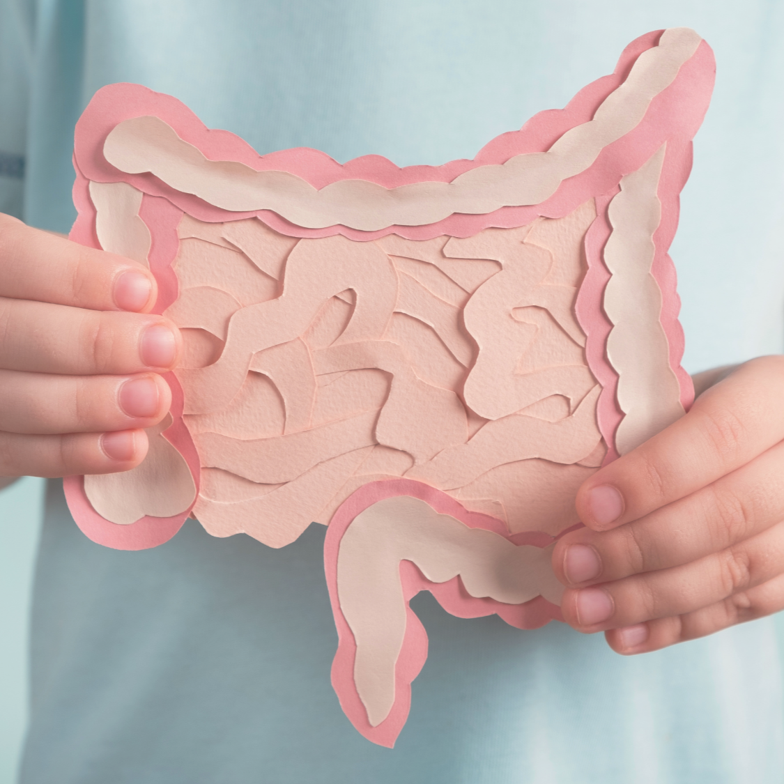 Das Mikrobiom beim Menschen – innere Balance und der Schlüssel zu Wohlbefinden