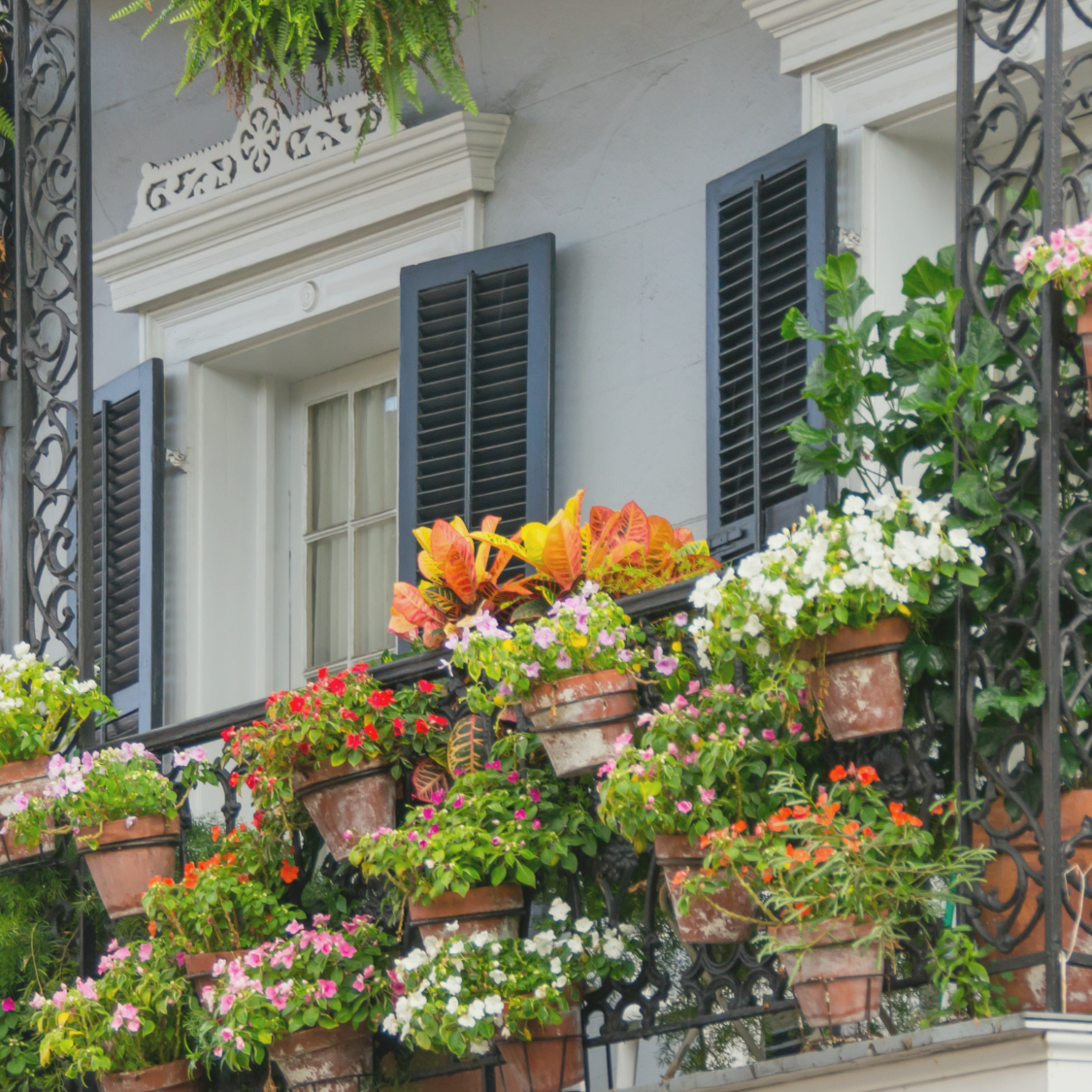 Balkon bepflanzen mit Effektiven Mikroorganismen