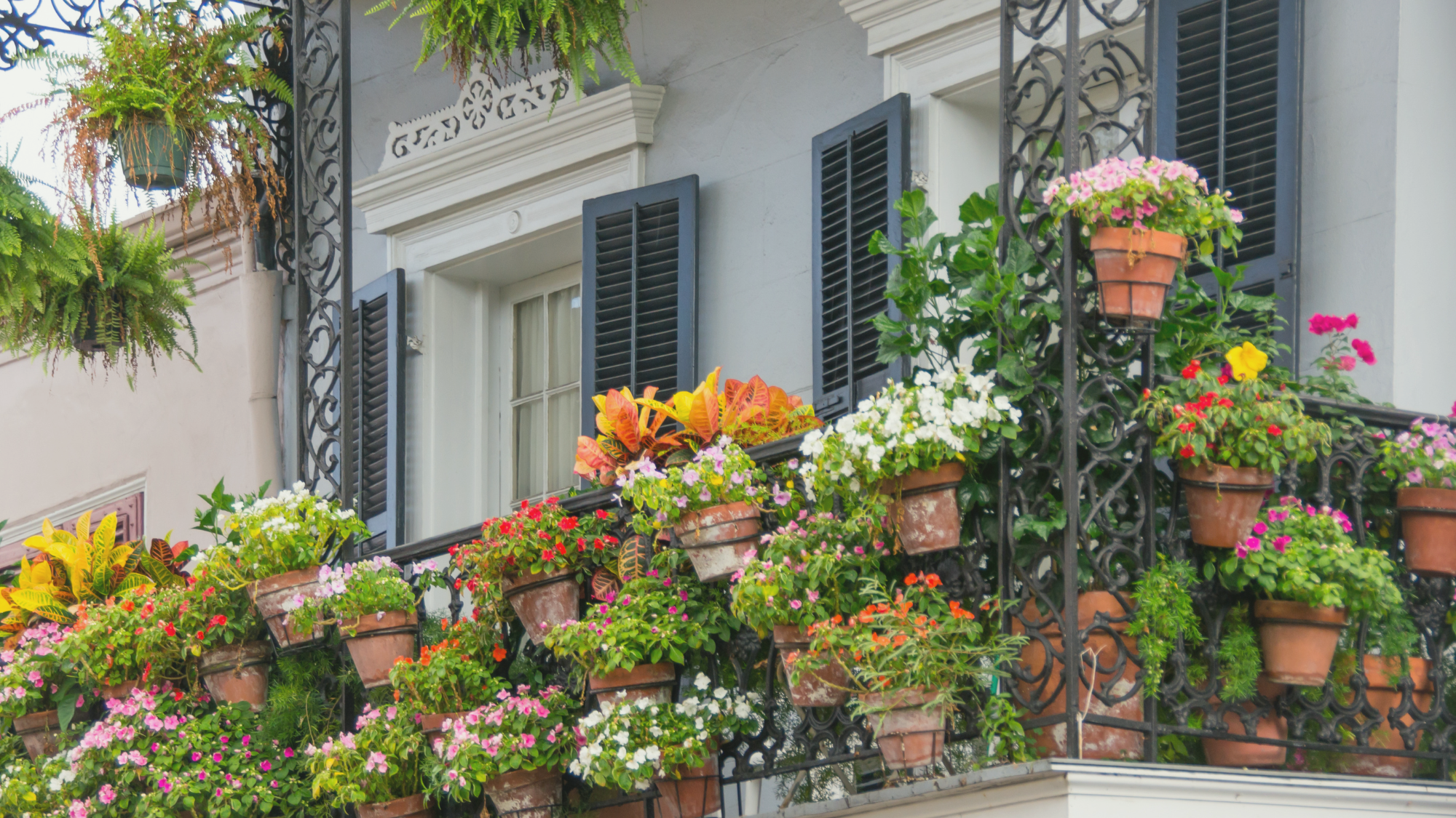 Balkon bepflanzen mit Effektiven Mikroorganismen