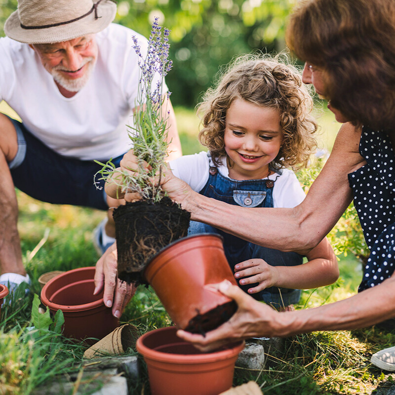 Effektive Checkliste für die Gartenarbeit im Frühling – das ist jetzt zu tun