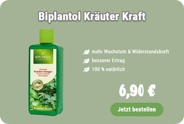 Kräuterdünger kaufen