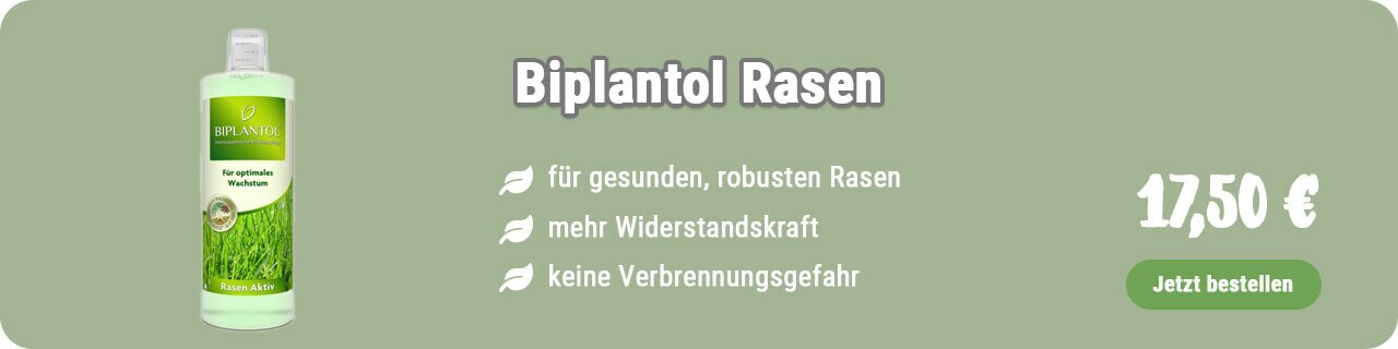 Biplantol Rasen kaufen
