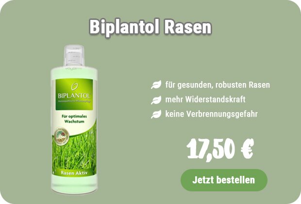 Biplantol Rasen kaufen