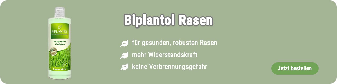 Biplantol Rasen kaufen