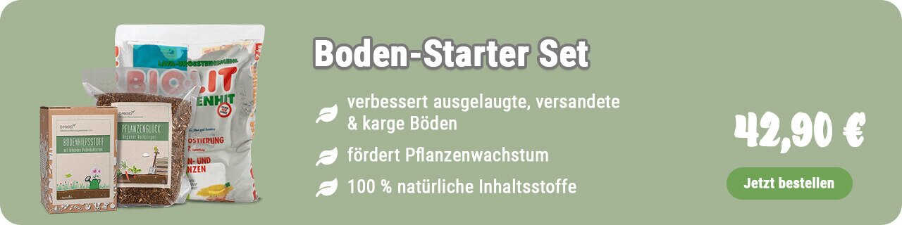 Boden-Starter-Set kaufen