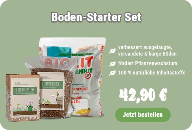 Boden-Starter-Set kaufen