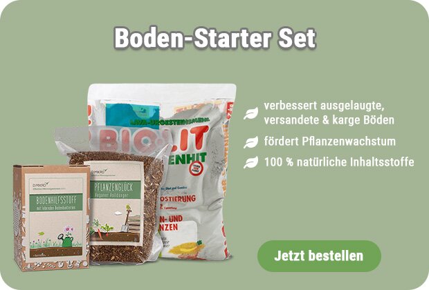 Boden-Starter-Set kaufen