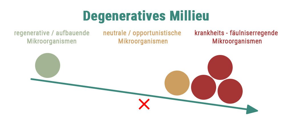 degeneratives Milieu