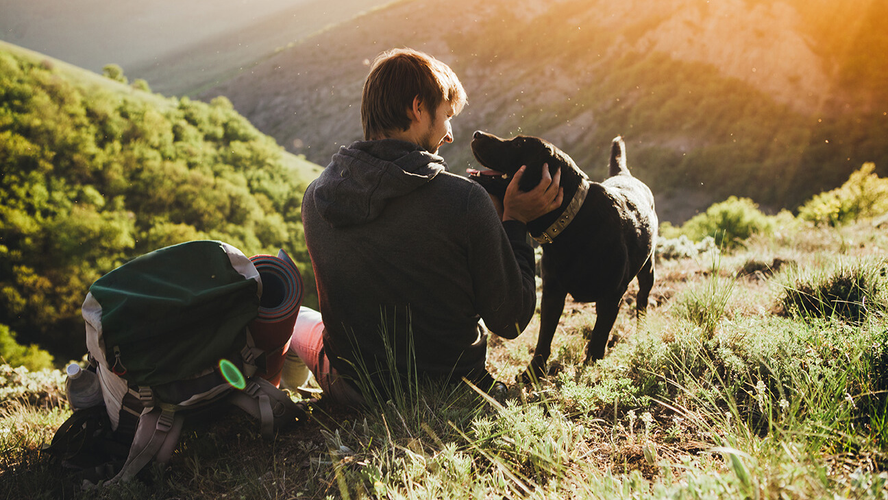 Urlaub mit Hund