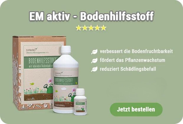 Sandboden verbessern 5 einfache Tipps für gute Böden im Garten
