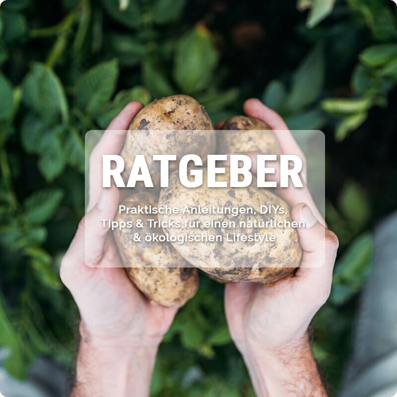 Ratgeber