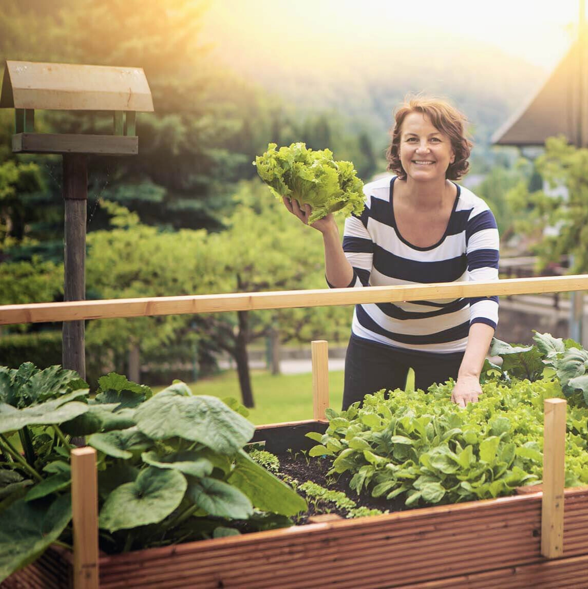 Hochbeet bepflanzen und pflegen – so gelingt es