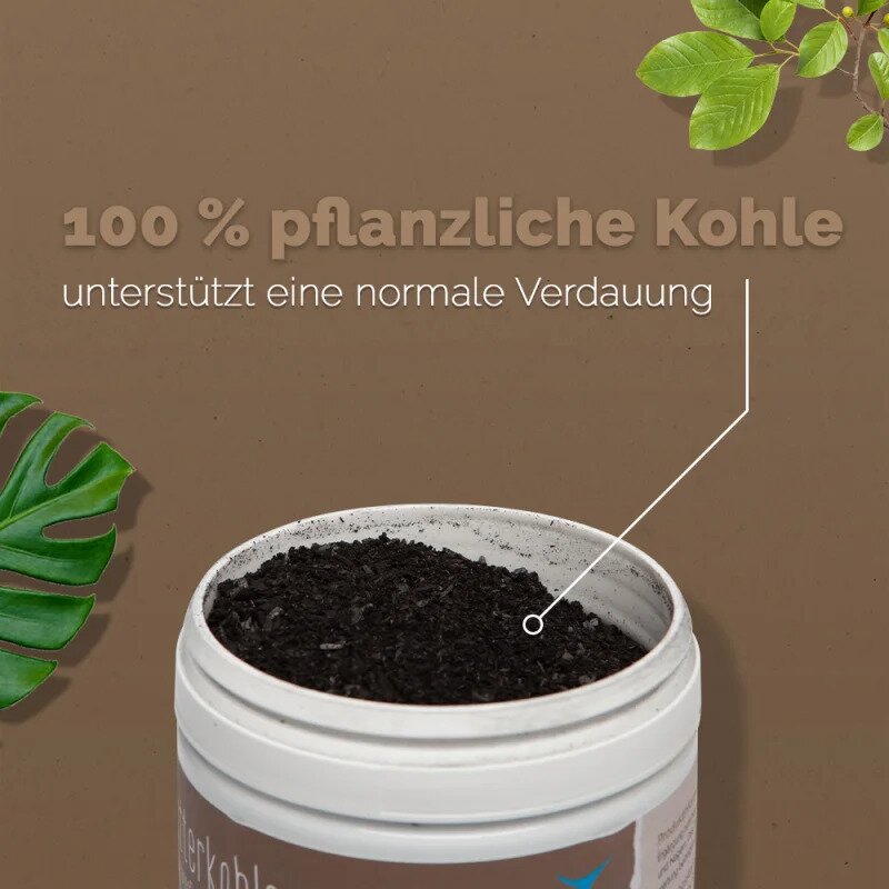 Futterkohle