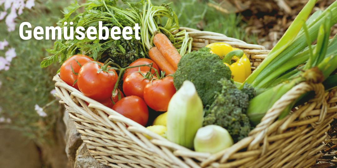 Gemüsebeet