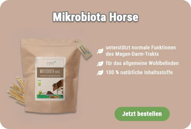 Mikrobiota Horse kaufen