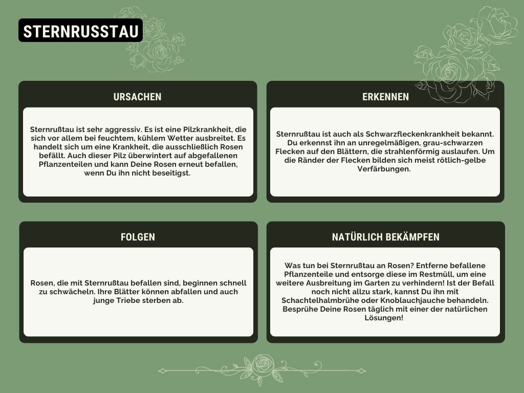 Sternrußtau