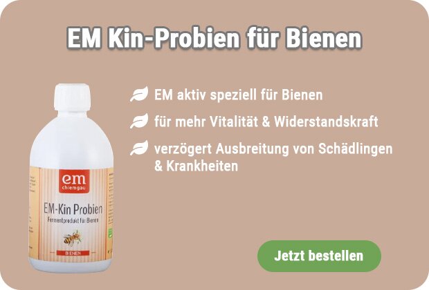 EM Kin-Probien kaufen