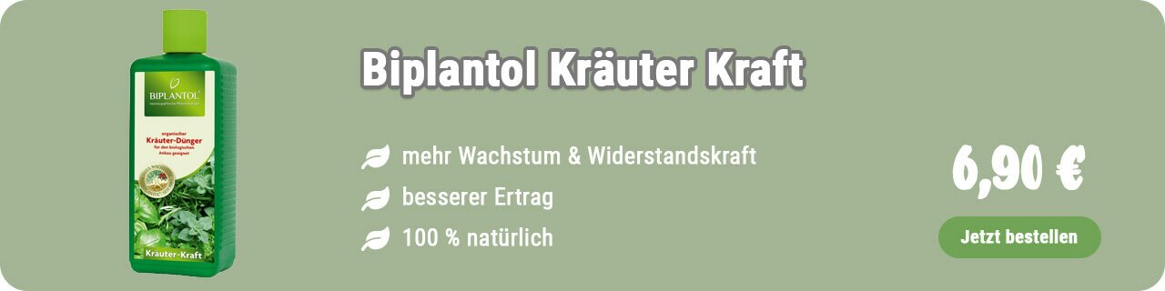 Kräuterdünger kaufen