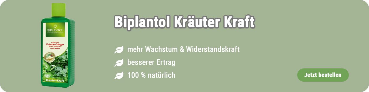 Kräuterdünger kaufen