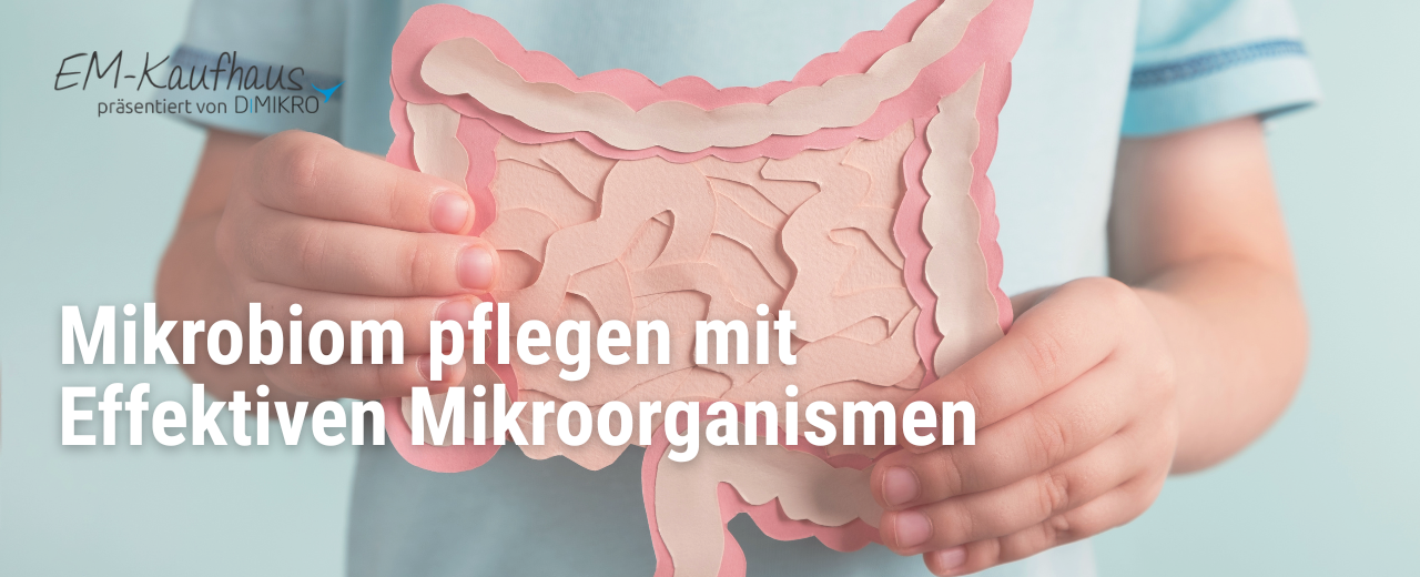 Das Mikrobiom beim Menschen – innere Balance und der Schlüssel zu Wohlbefinden