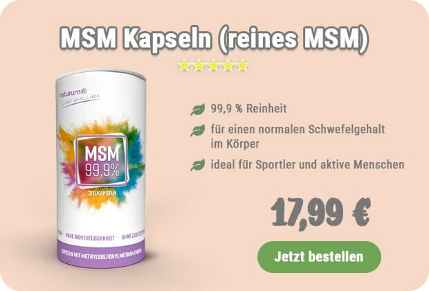 MSM kaufen