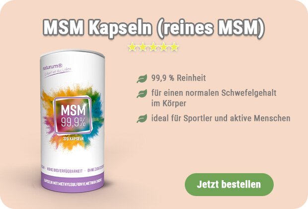 MSM kaufen