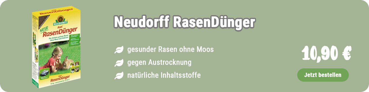 Rasendünger kaufen