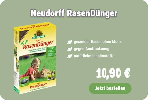 Rasendünger kaufen