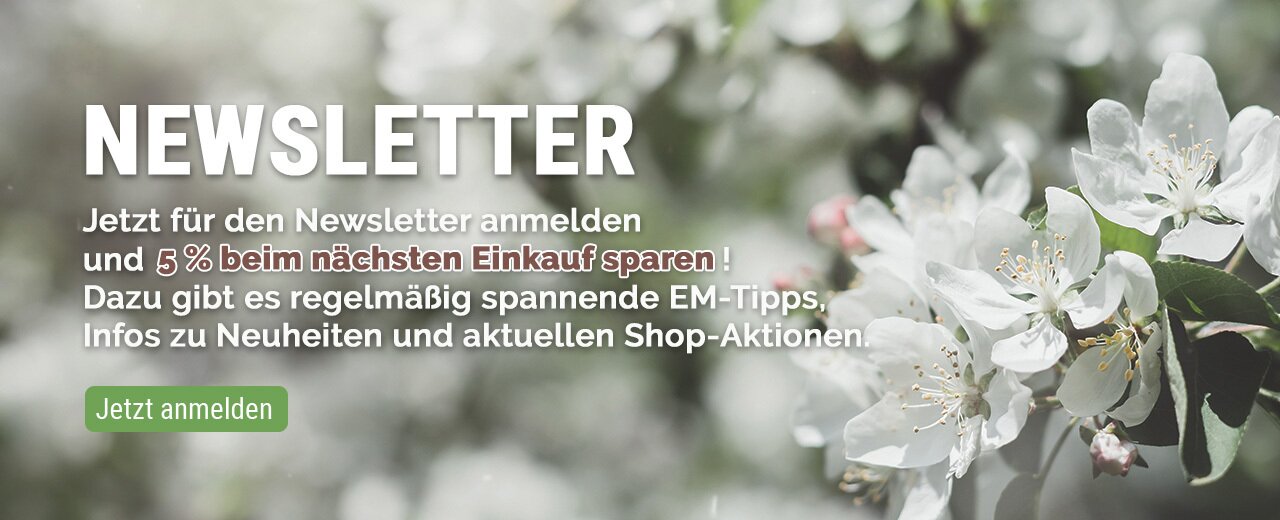 Newsletter abonnieren